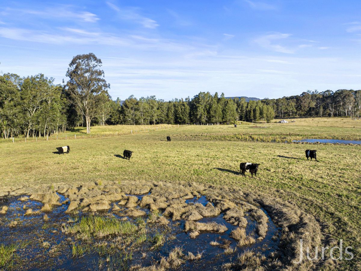 345 Quorrobolong Road, Quorrobolong NSW 2325, Image 1