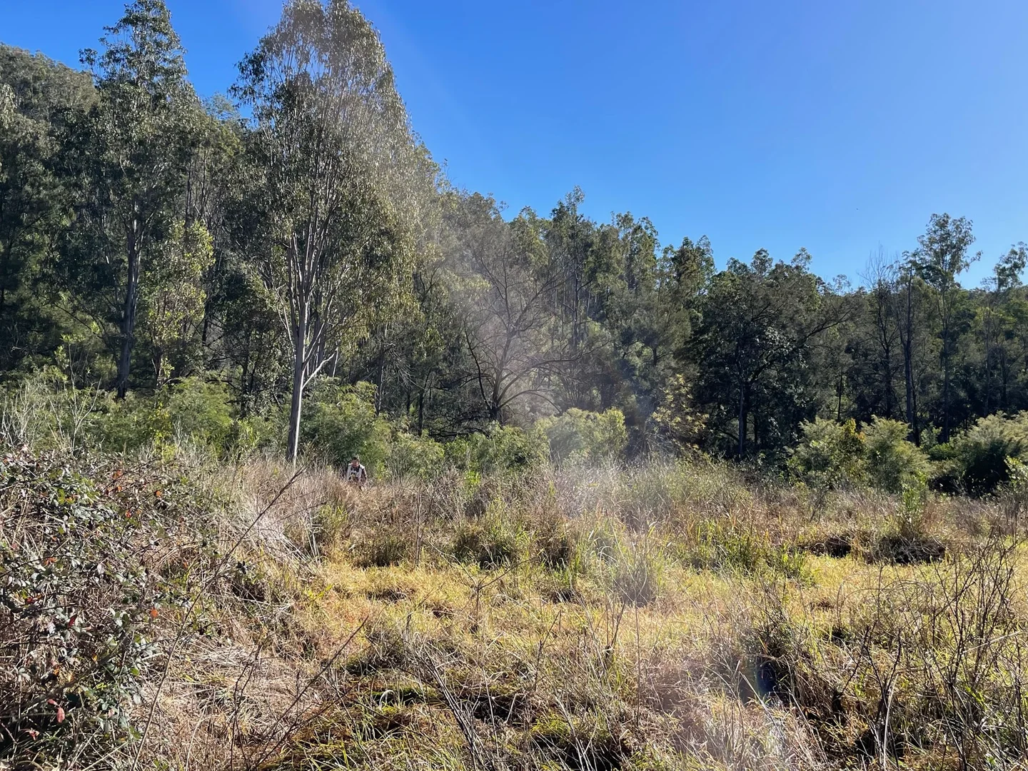 Additional image 9 of Lot 62 Armidale Road, Blaxlands Creek NSW 2460