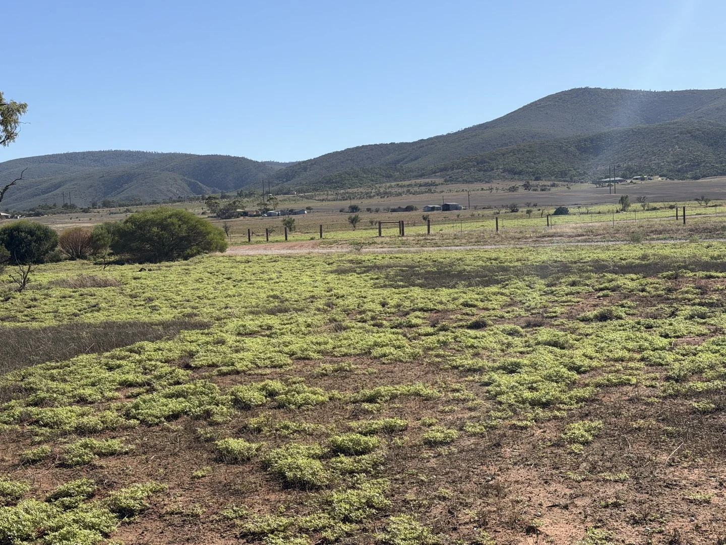 Lot 567 Telowie Road, Telowie SA 5540
