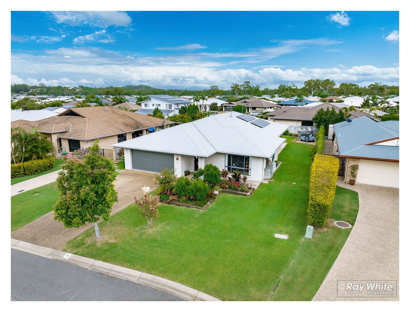 19 Primrose Avenue, Norman Gardens QLD 4701, Image 0