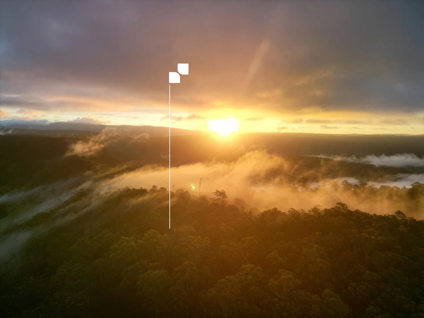 Primary image of 1806 Gold Coast Springbrook Road, Springbrook QLD 4213