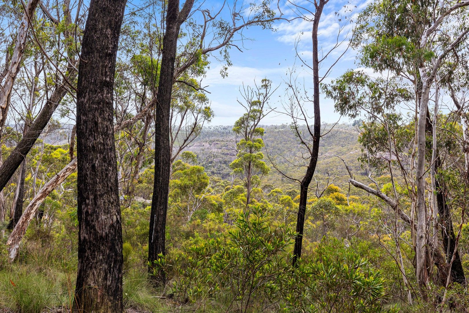 27-29 Salisbury Ave, Mount Victoria NSW 2786, Image 0