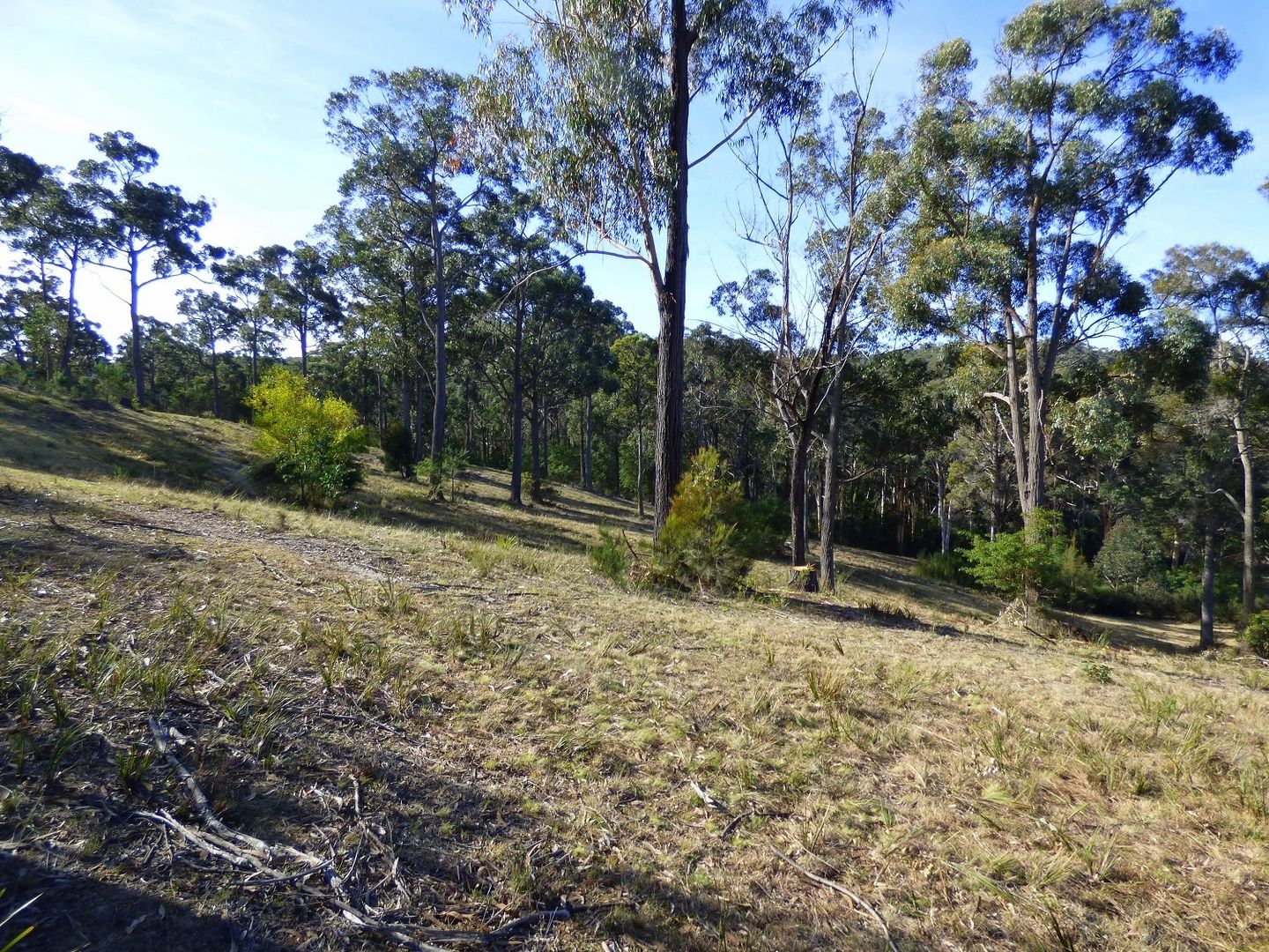 LOT/283 Komirra Drive, Eden NSW 2551, Image 2