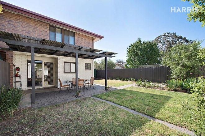 Picture of 3/20 Grosvenor Street, GLANDORE SA 5037