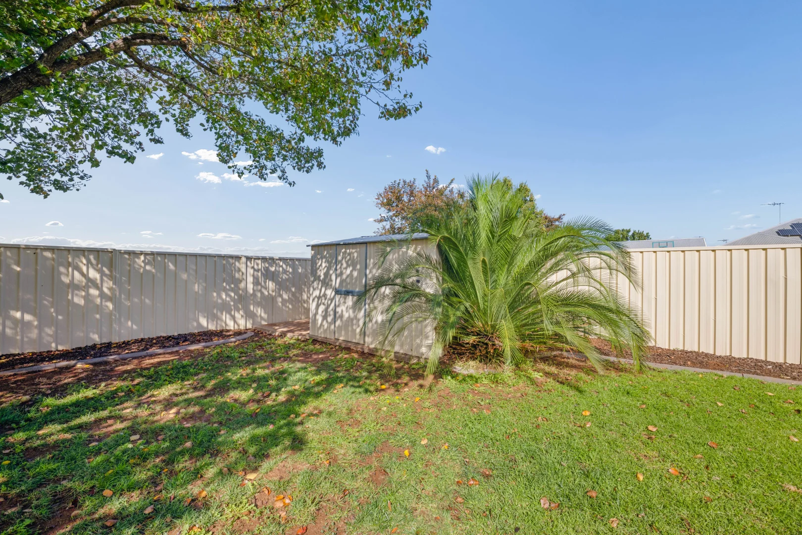Image 21