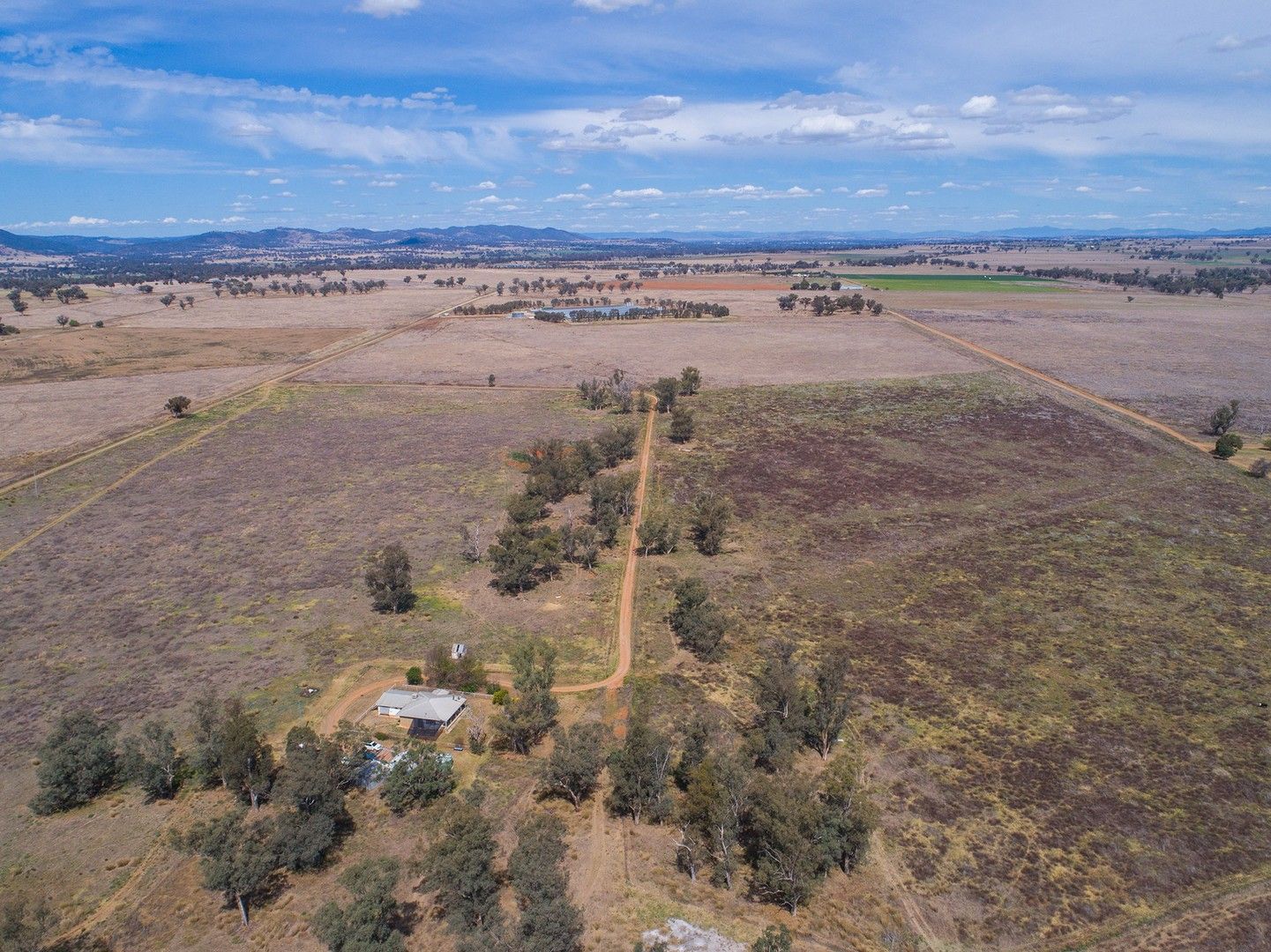 593 Appleby Lane, Appleby NSW 2340 House for Sale Domain