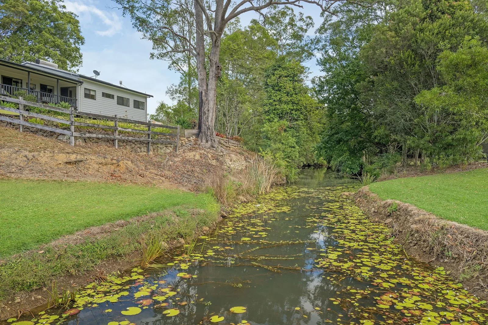 Image 31