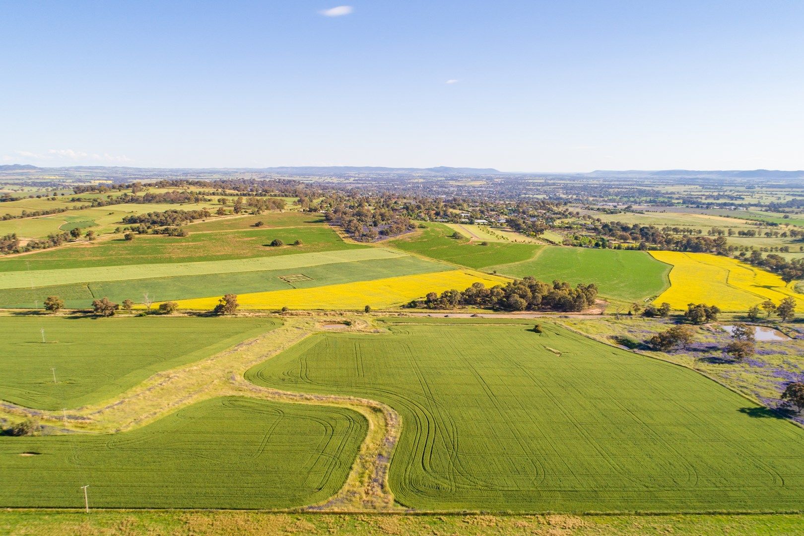 Binni Creek Road, Cowra NSW 2794, Image 0