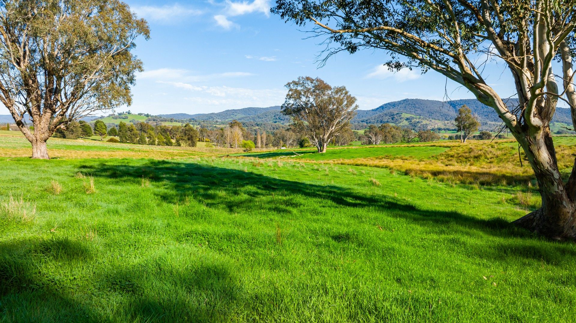 'The Point' Craven Road, Allans Flat VIC 3691, Image 1