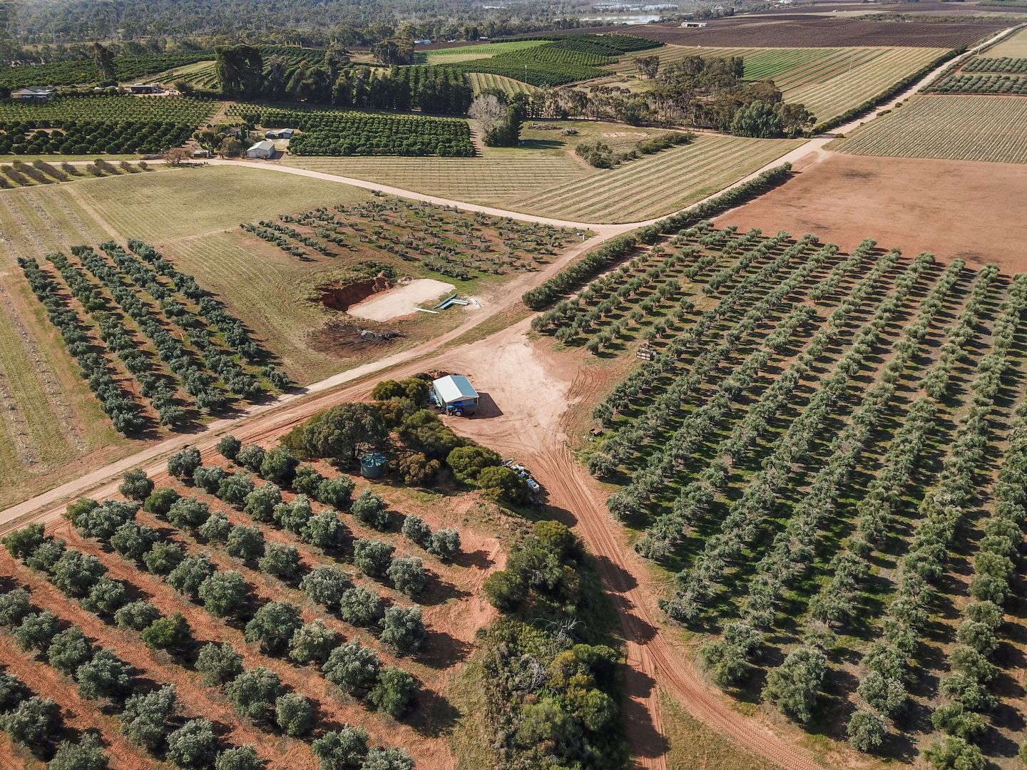 Lot 22 Carter Road, Taylorville SA 5330 Specialist Farm for Sale