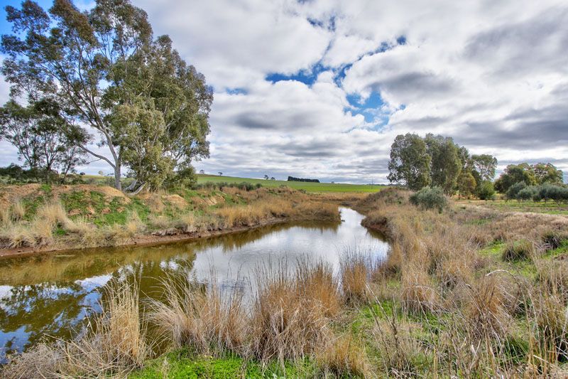 284 Macaw Creek Road, Riverton SA 5412, Image 2