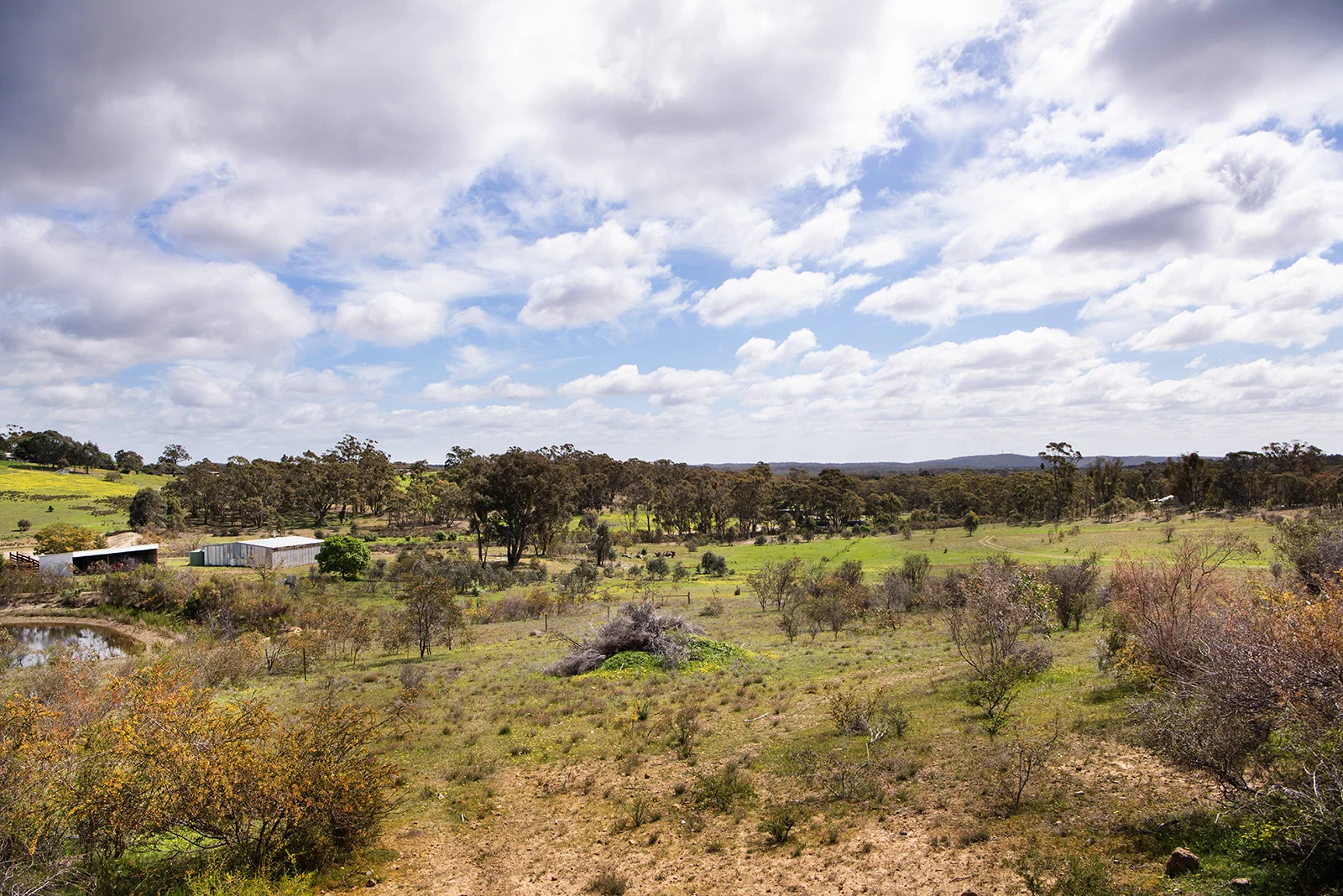 Image 10