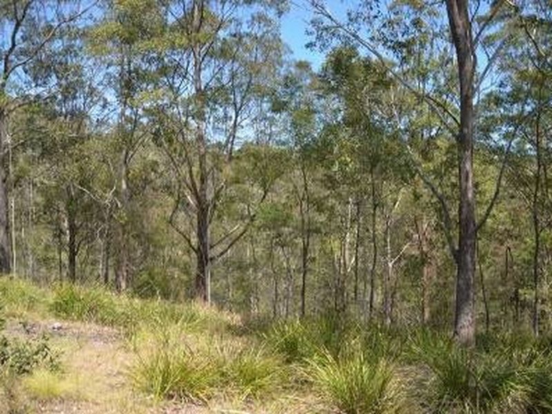 BULGA FOREST NSW 2429, Image 2