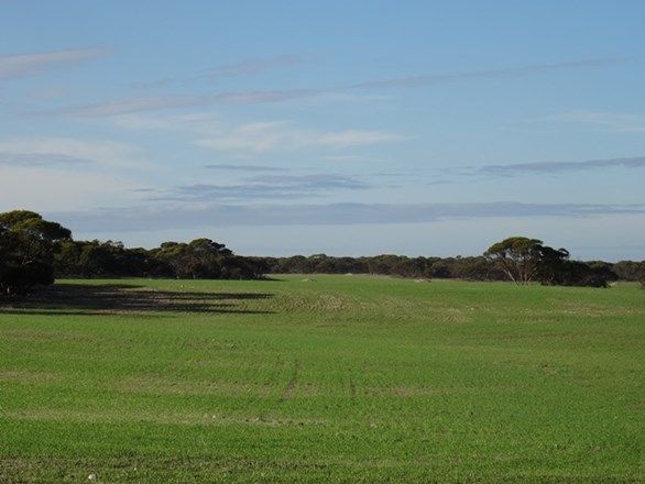 Lot 25 Chaunceys Line Rd, Monarto South SA 5254, Image 0