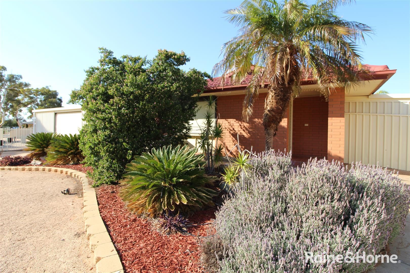 1 Hobbs Court, Port Augusta West SA 5700, Image 1