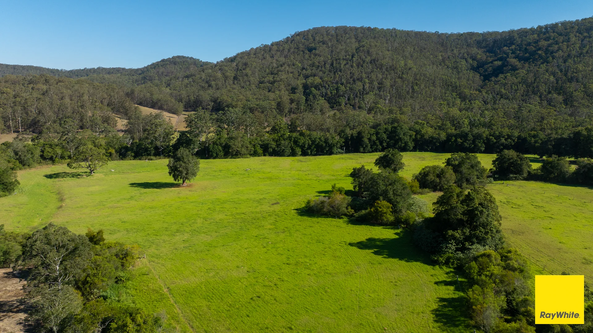 Additional image 4 of 131 Crawford River Road, Crawford River NSW 2423