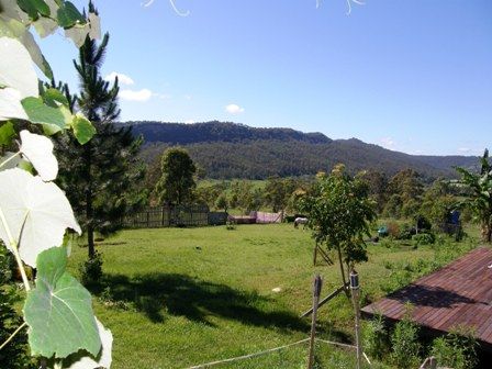 1698 Kangaroo Creek Road, KANGAROO CREEK NSW 2460, Image 1