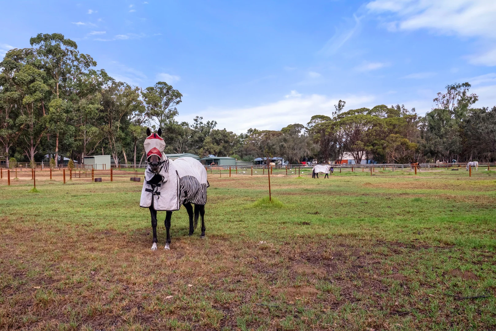 Additional image 28 of 56 Kowin Court, Cardup WA 6122