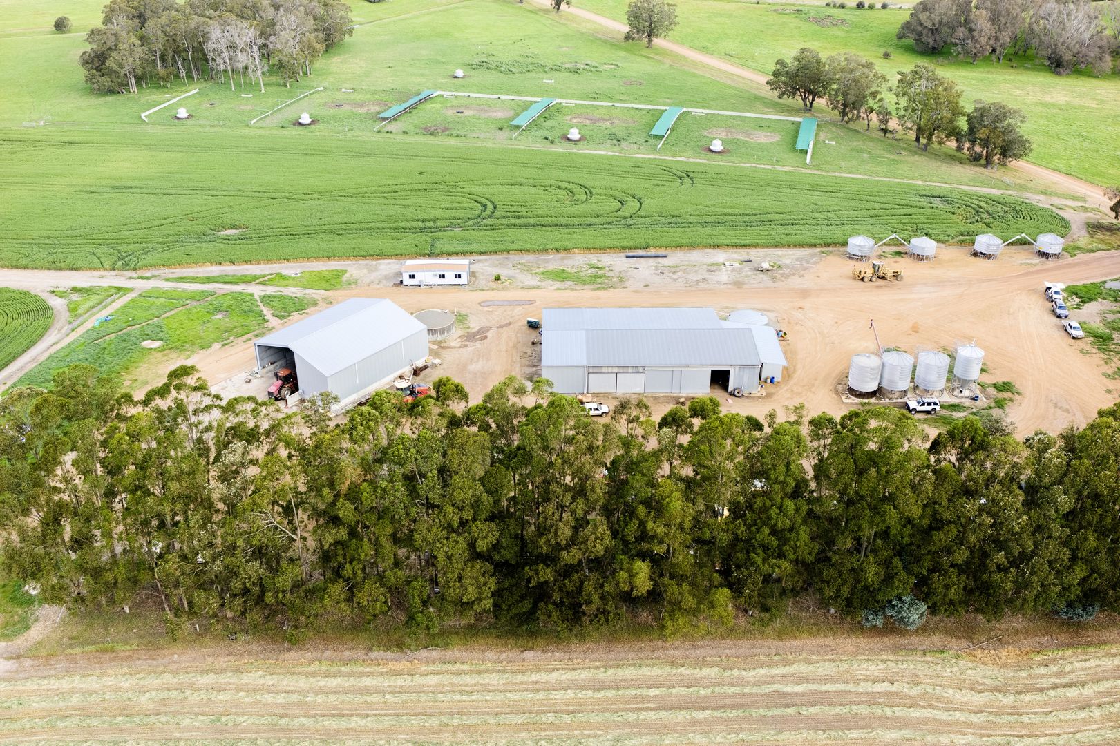 Blackwattle and Russell Road, West Cape Howe, Hay Shed Hill and wineries, Frankland River WA 6396, Image 2