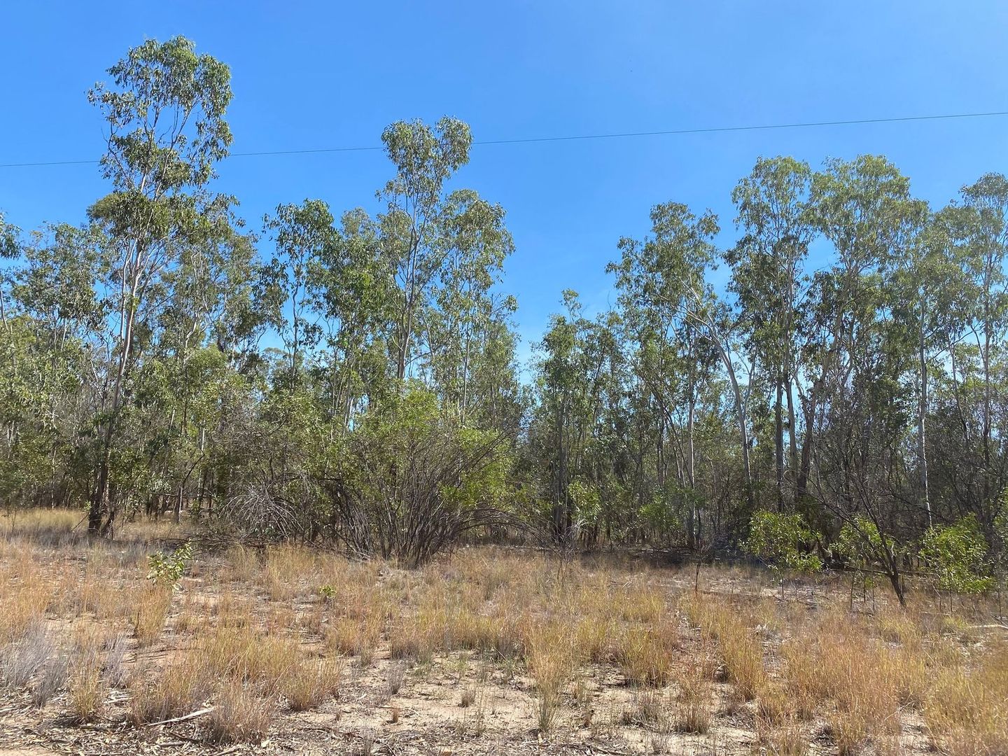 Lot 11 Wieambilla Road, Tara QLD 4421, Image 1