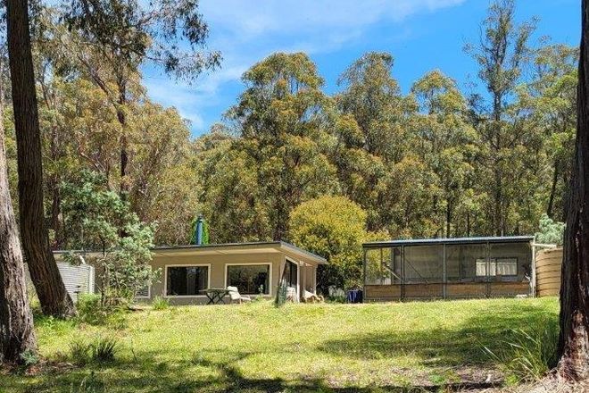 Picture of "Wirraway" 1140 Tuross Road, TUROSS NSW 2630