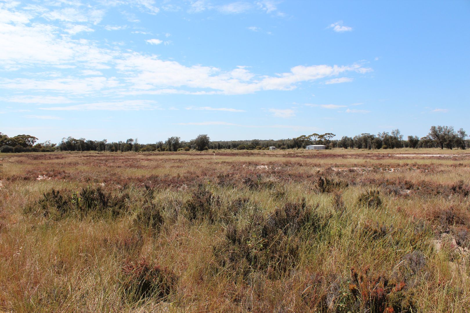 240 Goomalling-Meckering Rd, Meckering WA 6405, Image 1