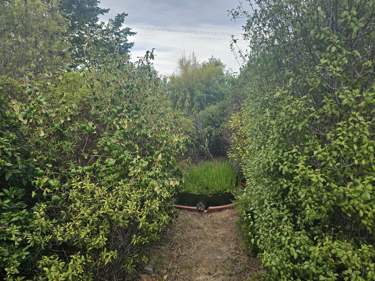 Additional image 16 of 14235 Tasman Highway, Swansea TAS 7190