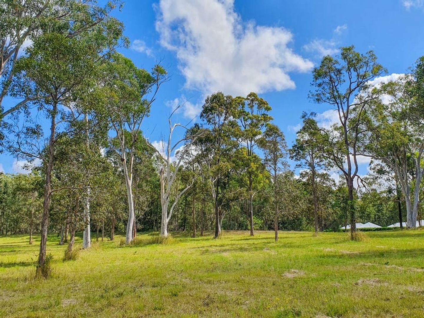 James Creek NSW 2463, Image 1