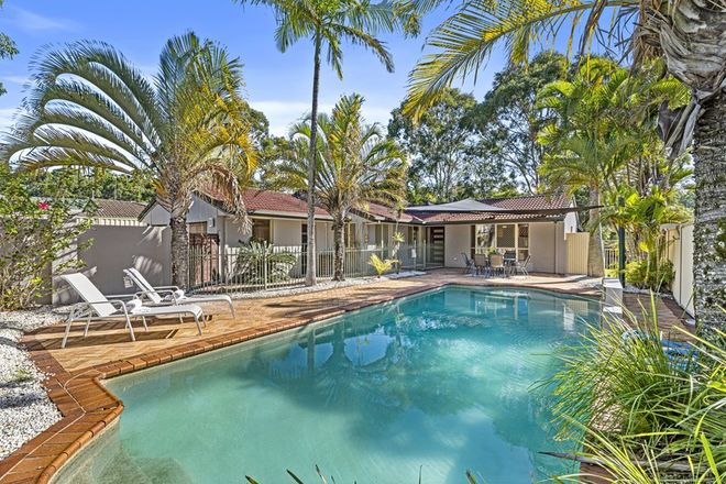 Picture of 17 James Cagney Close, PARKWOOD QLD 4214