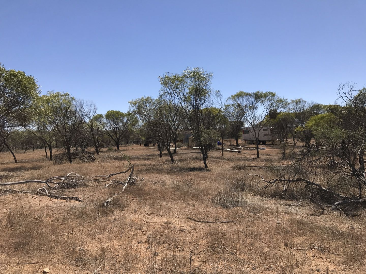 Lot 6129 Beatty Haselby Road, Naraling WA 6532, Image 1