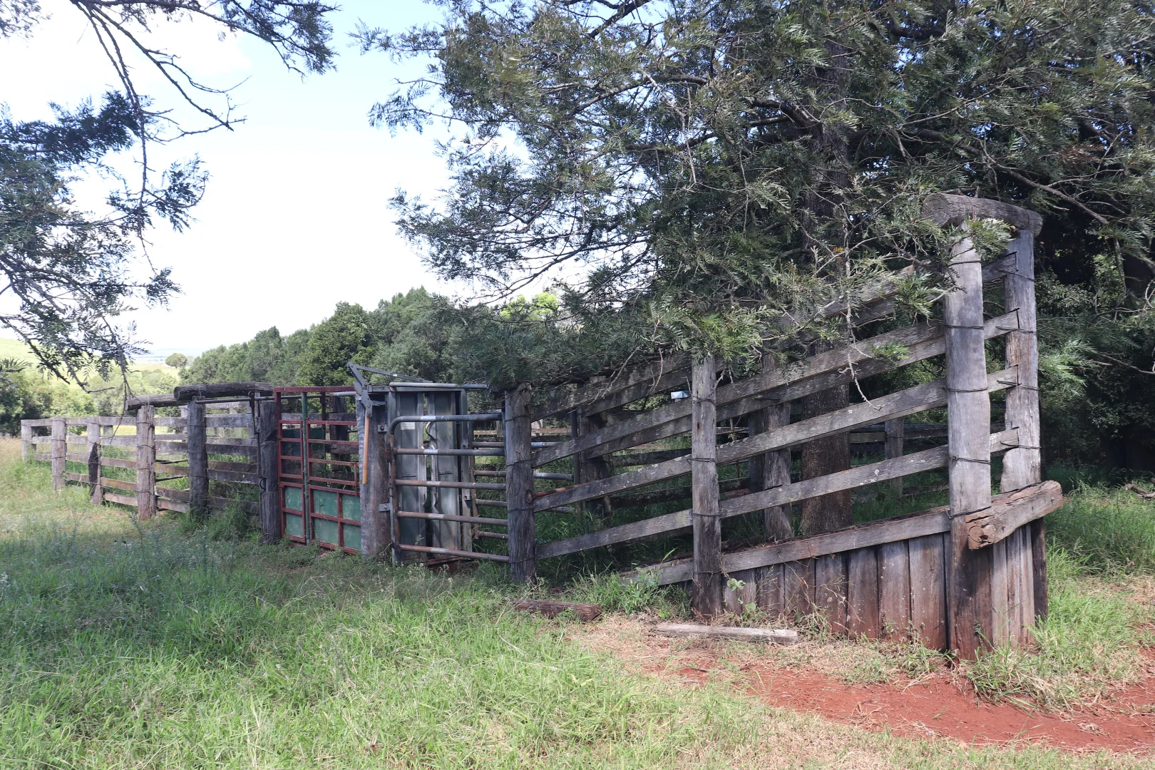 Additional image 10 of Lot 385 Hoffmanns Road, Wondai QLD 4606