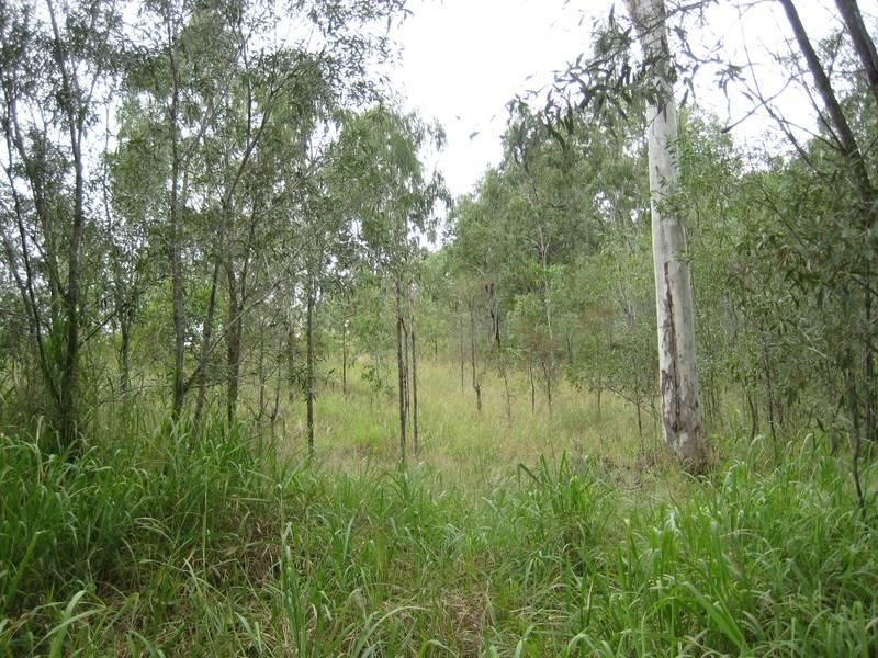 MOOLBOOLAMAN QLD 4671, Image 2