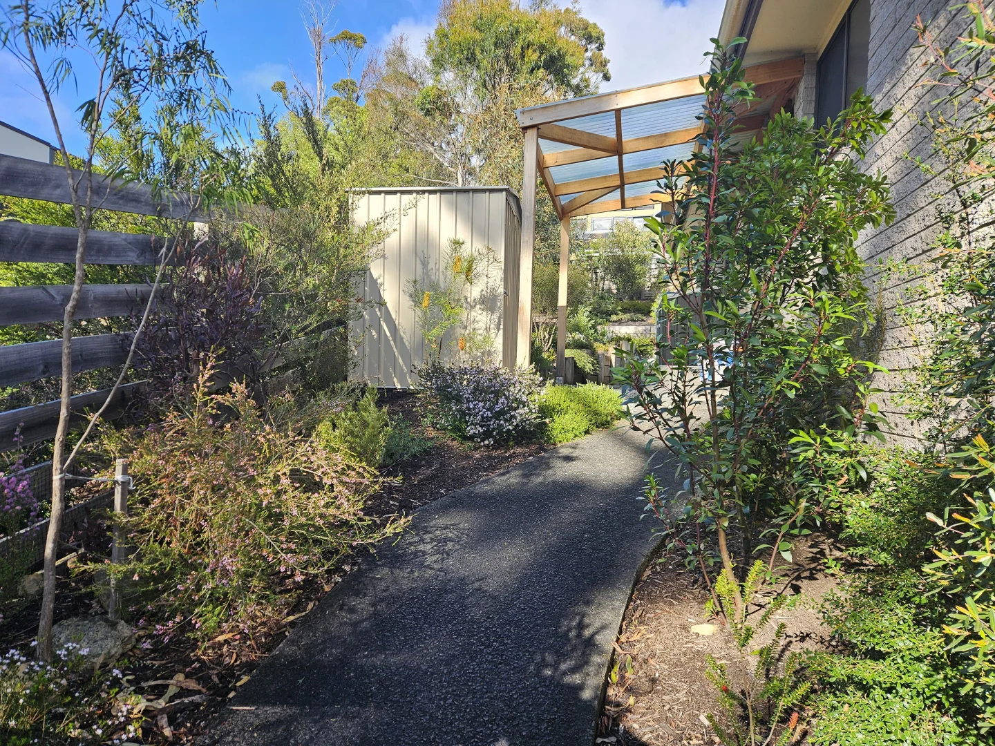 Image 15