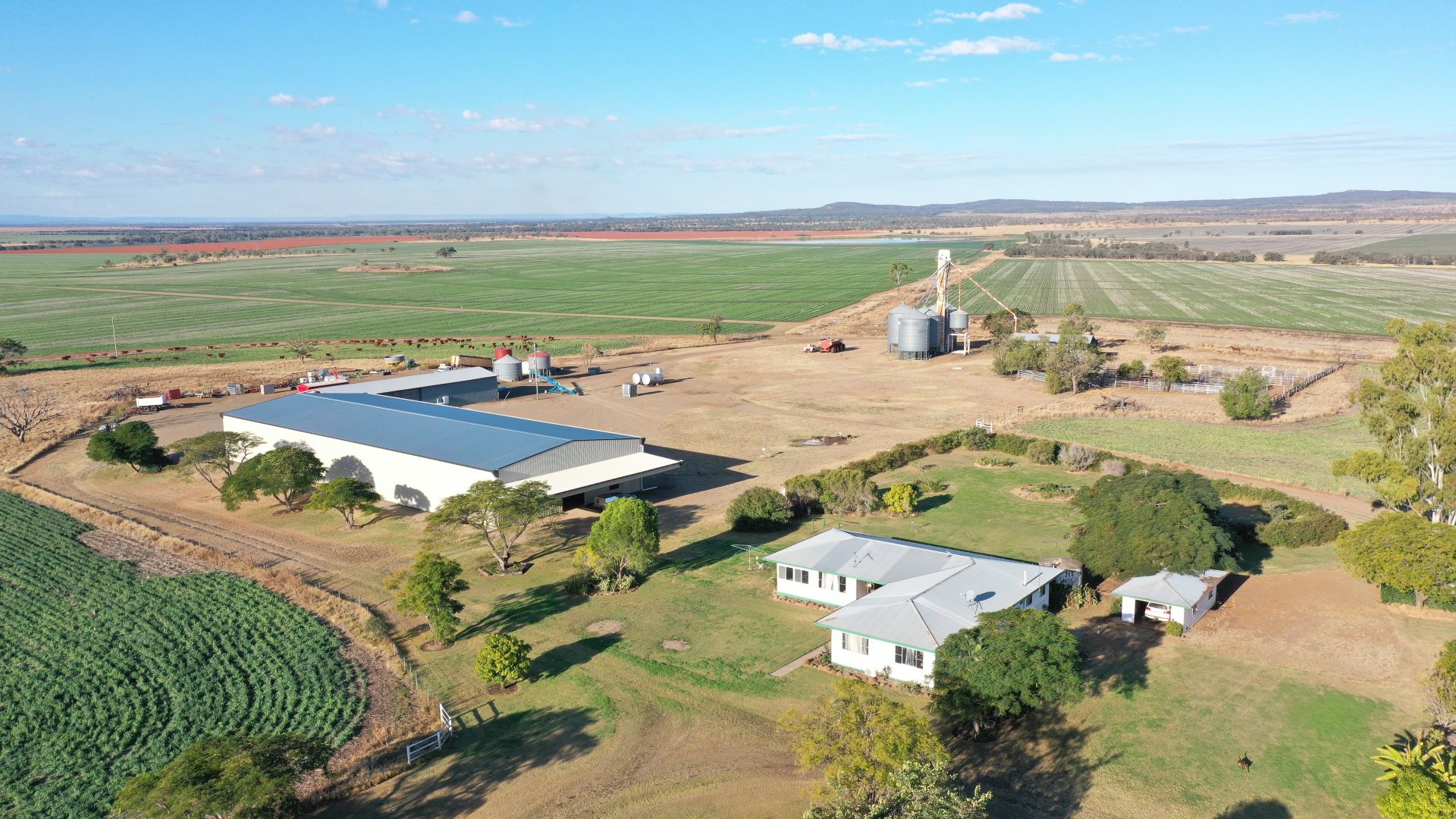 780 Three Chain Road, Springsure QLD 4722 House for Sale Domain