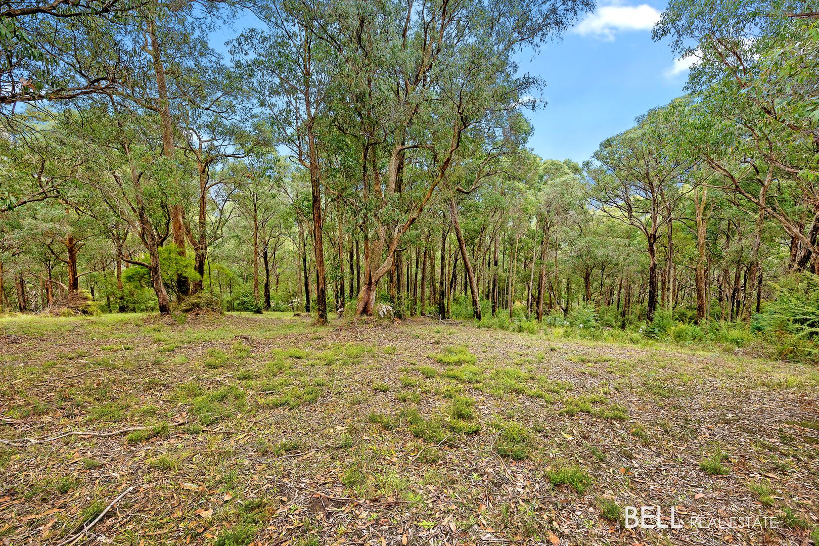 3 Summit Close, East Warburton VIC 3799, Image 2