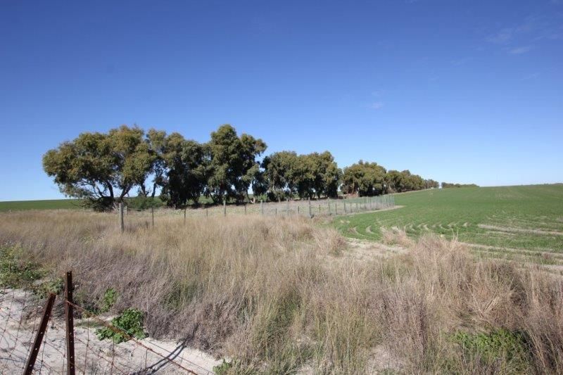 Lot 26776 Mathew Road, Cunderdin WA 6407, Image 2