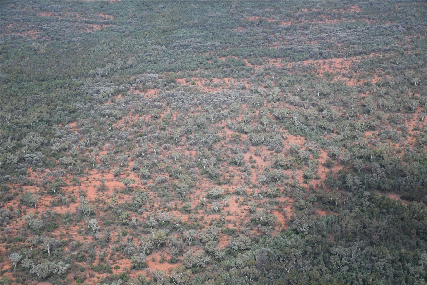 * The Retreat, Cobar NSW 2835, Image 2