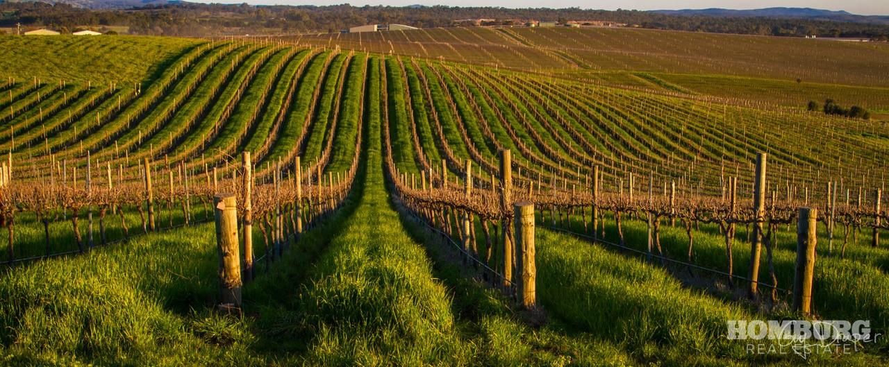 344 Rosedale Scenic Road, Lyndoch SA 5351 House for Sale Domain