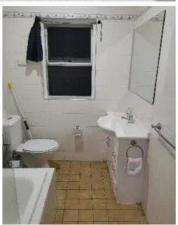 Additional image 6 of 14 Grainger Avenue, Ashfield NSW 2131