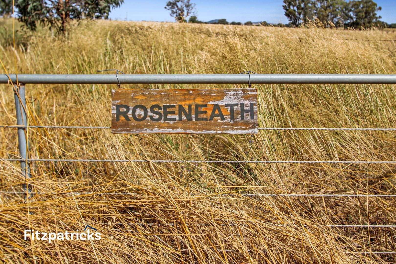 3 bedrooms House in 1100 Burkes Creek Road THE ROCK NSW, 2655