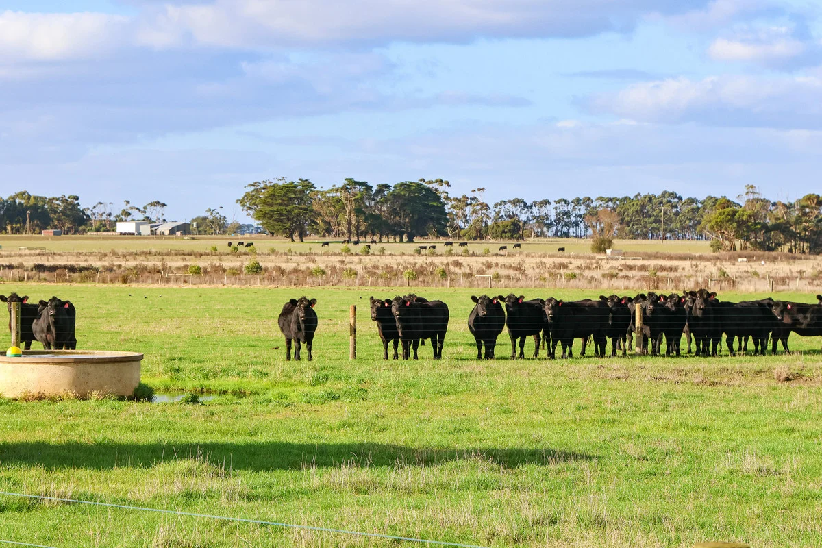 Additional image 26 of 59 Gapes Road, Winslow VIC 3281
