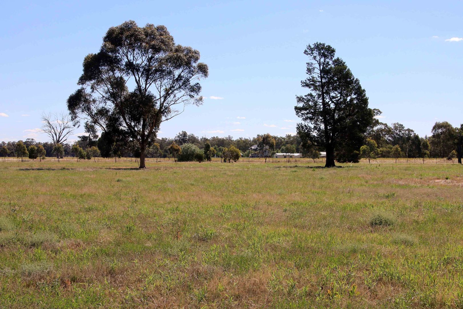 Lot 125 Treasure Street, Lockhart NSW 2656, Image 2