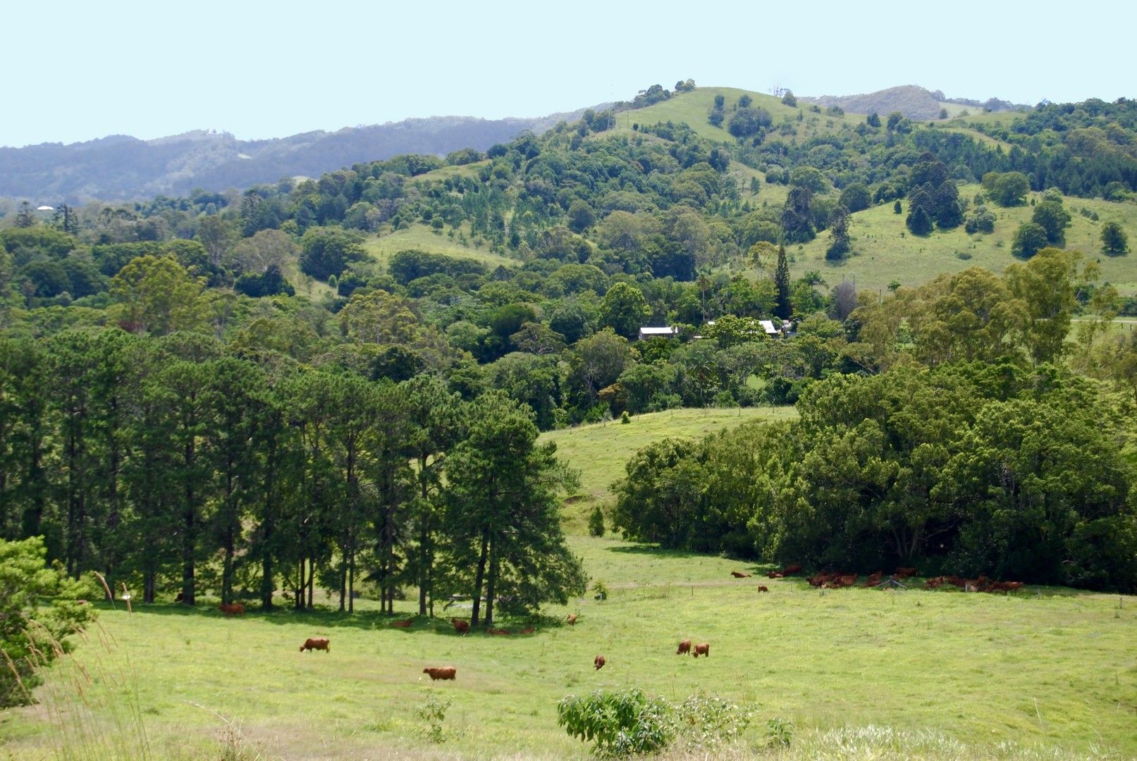 1 Grasstree Rd, Eumundi QLD 4562, Image 0