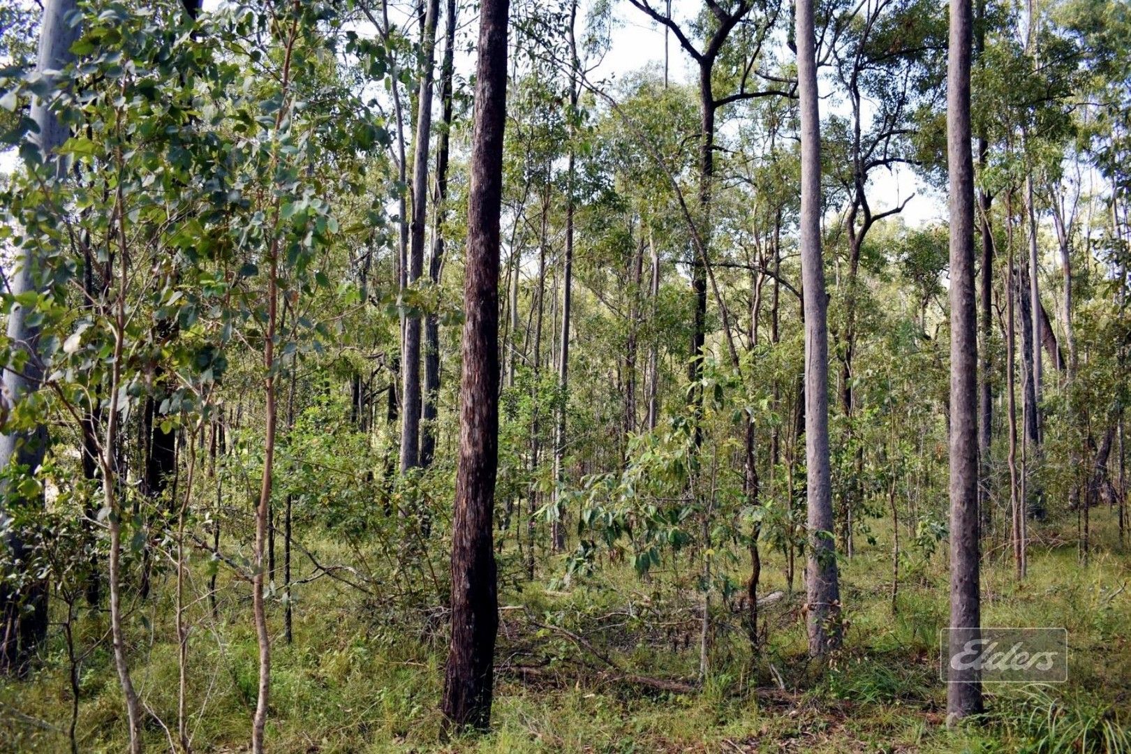 Lot 850 Arborthirtyone Road, Glenwood QLD 4570, Image 0