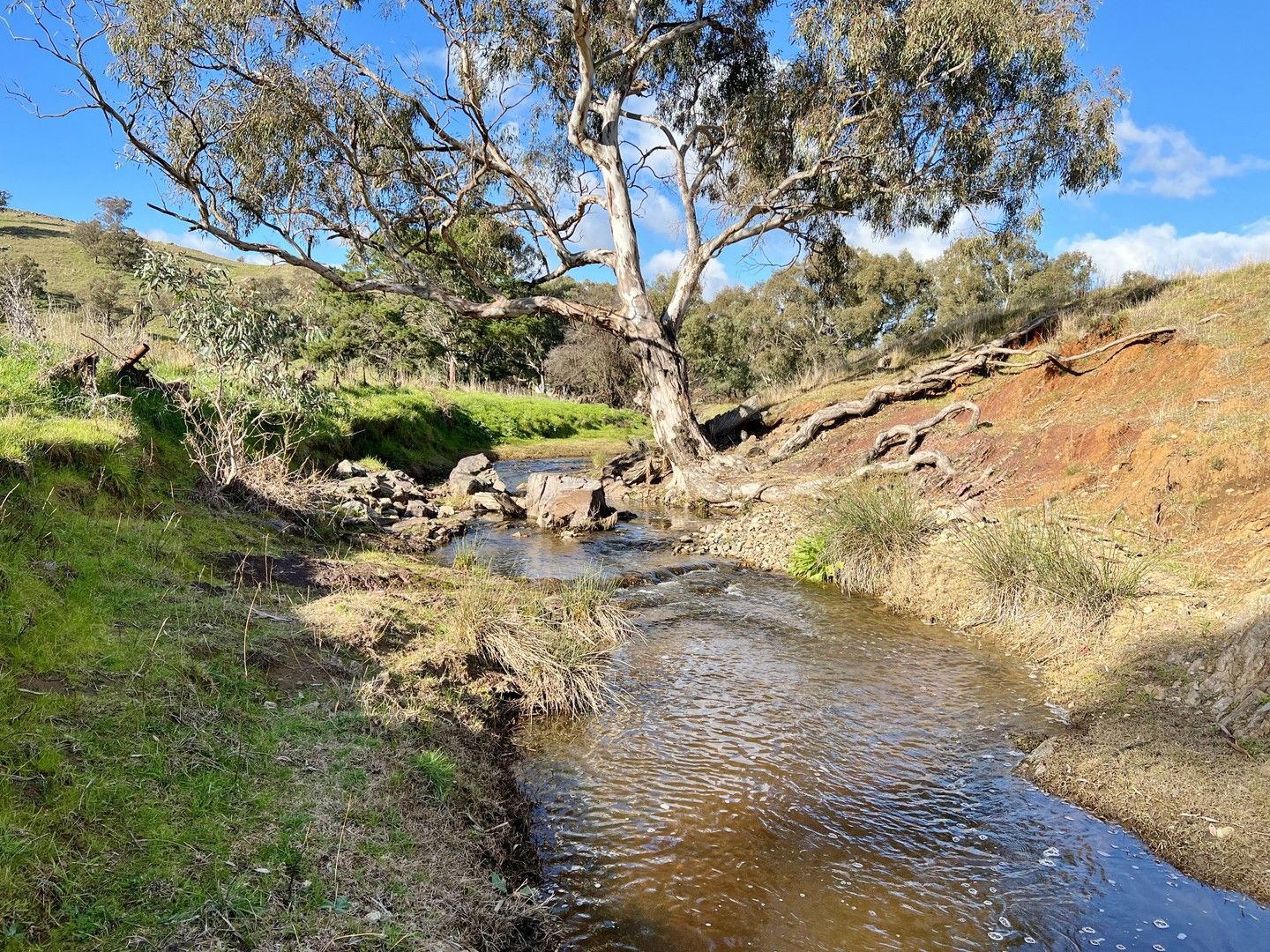 2177 Murringo Road, Murringo NSW 2586, Image 1