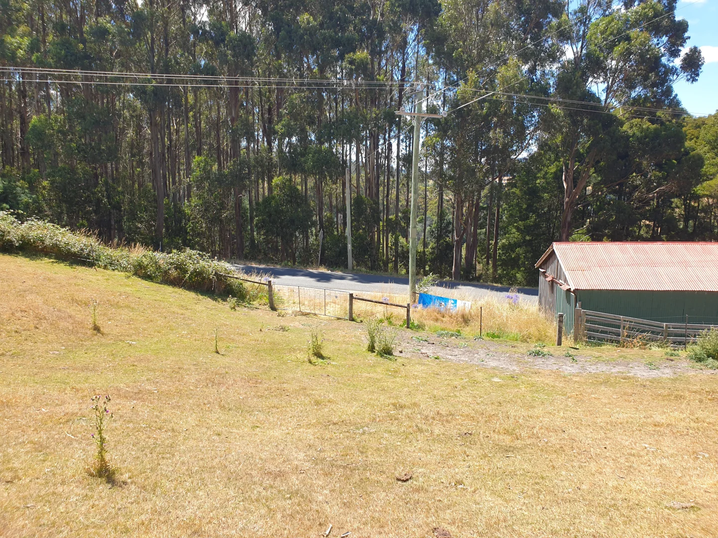 Image 6