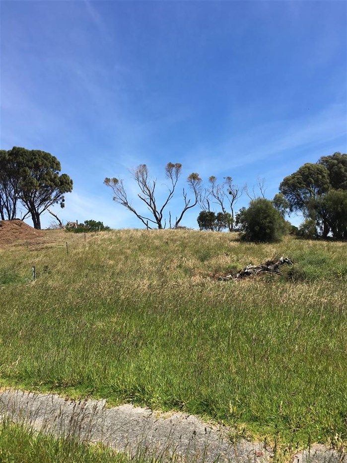 Lot 8 Ross Ave, Currie TAS 7256, Image 1