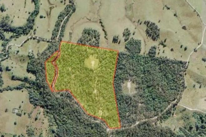 Picture of Lot 1 South Bank Road, TAMBAN NSW 2441