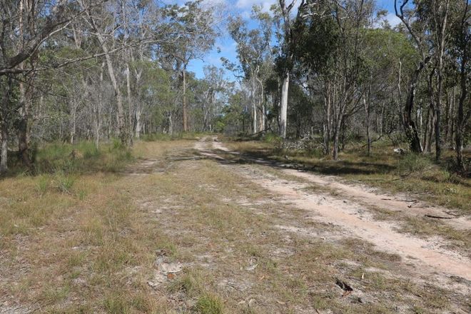 Picture of Lot 1 Buxton Road, ISIS RIVER QLD 4660