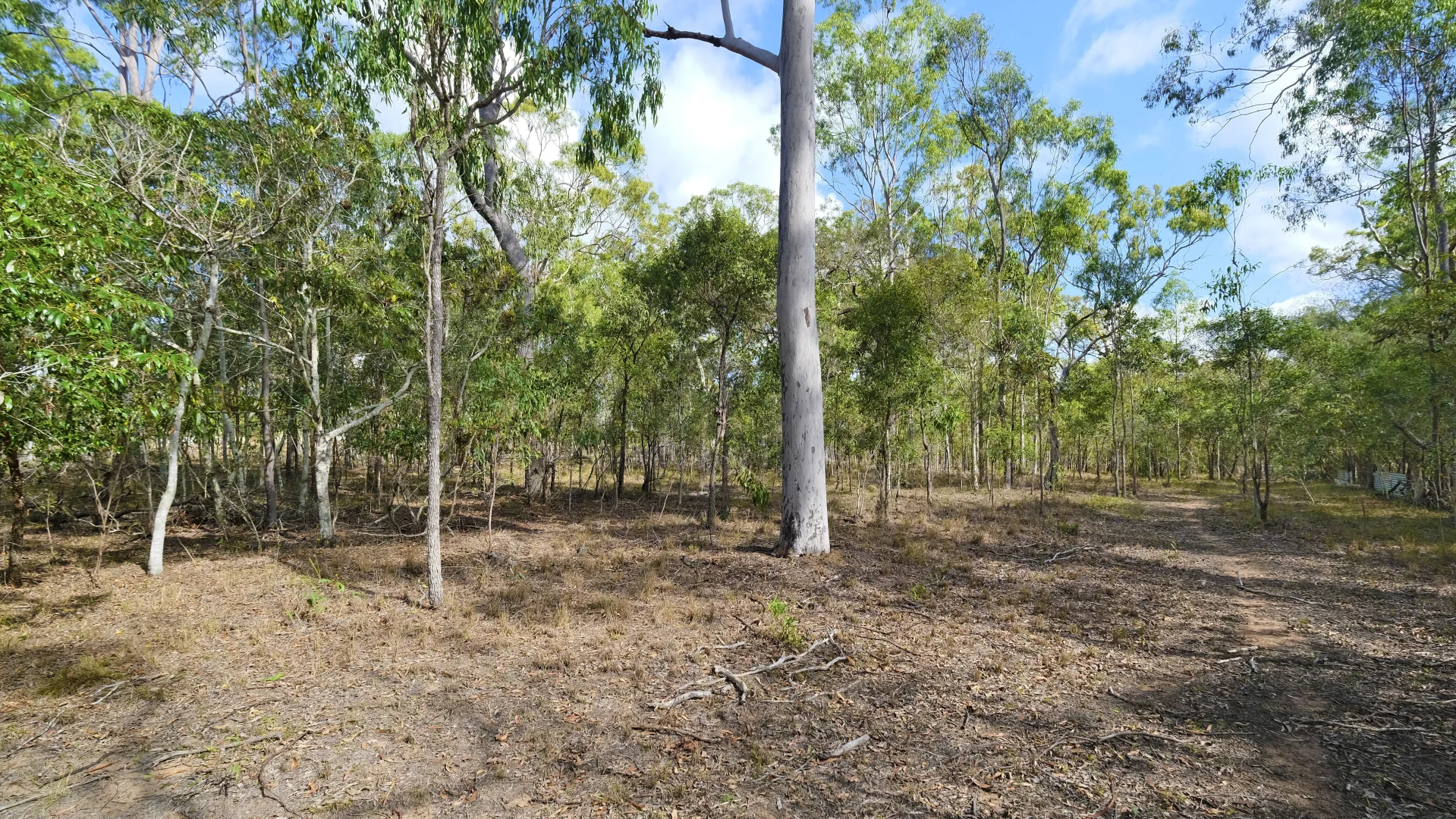 Image 13